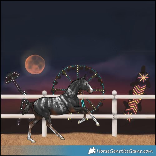 Horse Color:Powder White Gray Liver Chestnut