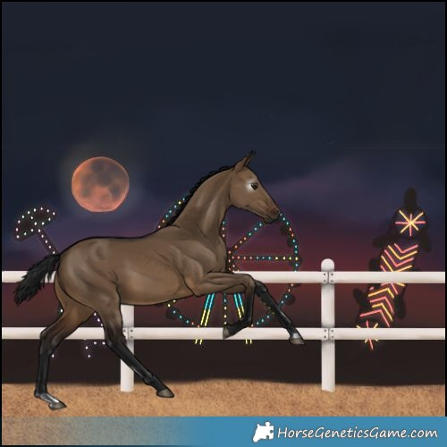 Horse Color:Gray Brown Dun 