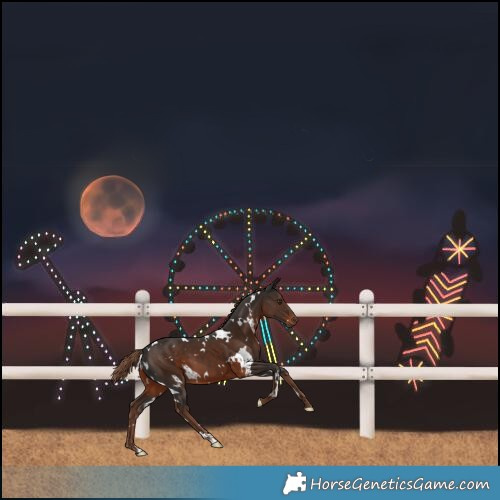 Horse Color:White Spotted Liver Chestnut