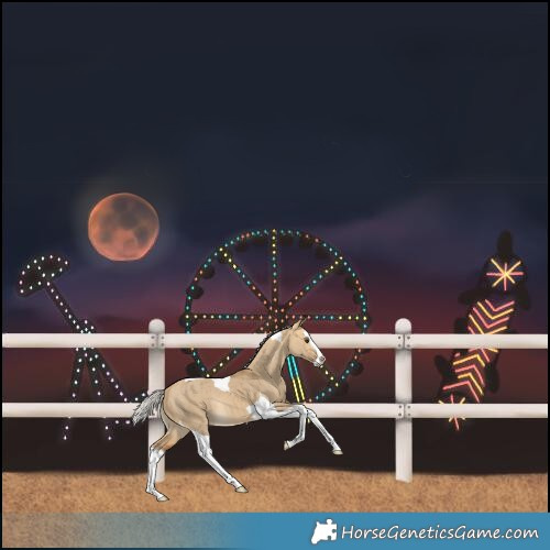 Horse Color:Silver Buckskin Dun Splash Tobiano Rabicano Brindle