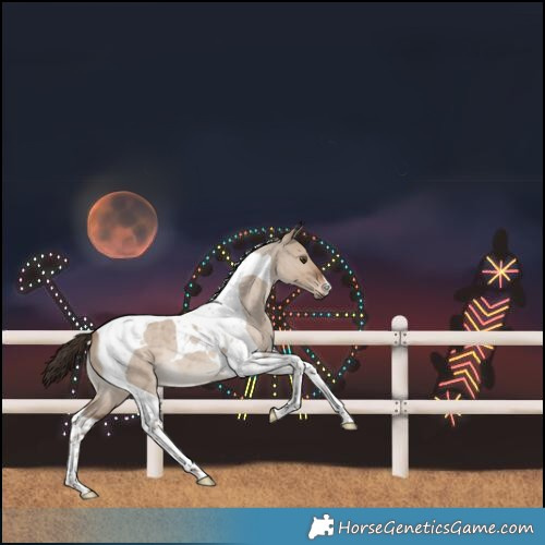 Horse Color:Liver Red Dun Roan Tobiano
