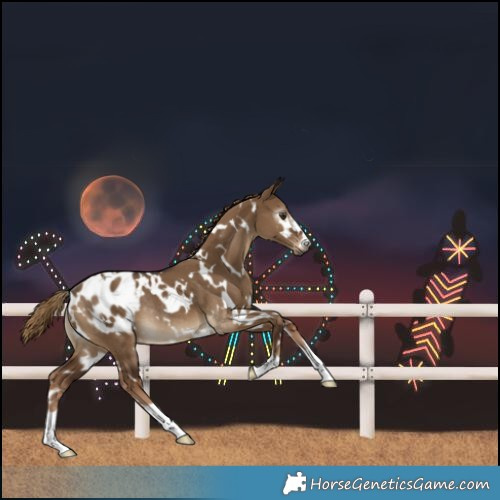 Horse Color:Gray White Spotted Liver Red Dun Varnish Rabicano