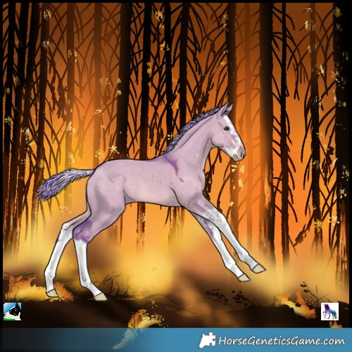 Horse Color:Watercolor Liver Red Dun Mushroom Splash