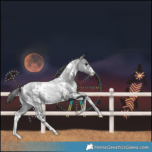 Horse Color:White Spotted Black 