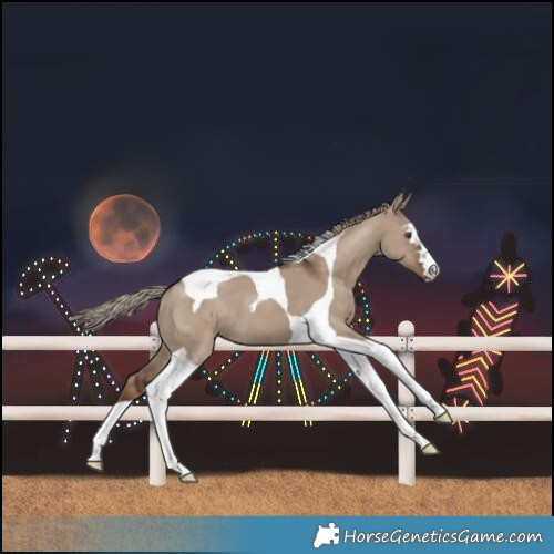 Horse Color:Liver Red Dun Tobiano 