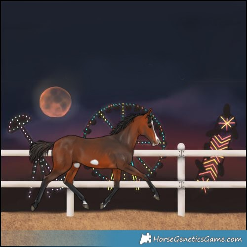 Horse Color:Bay Splash Frame Rabicano 