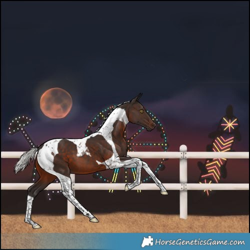 Horse Color:Silver Brown Tobiano 