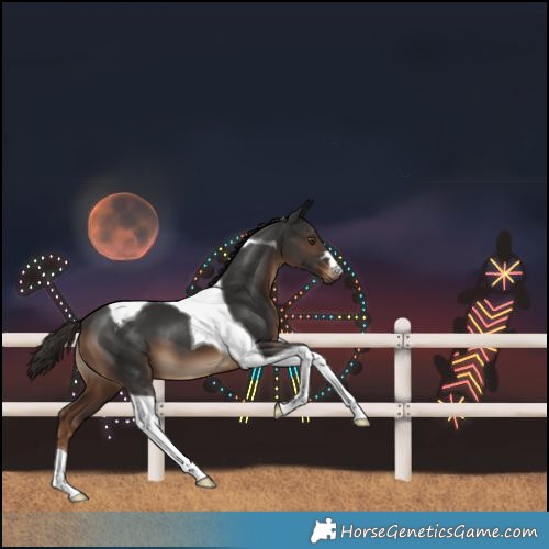 Horse Color:Liver Chestnut Tobiano 