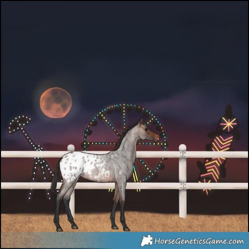 Horse Color:Brown Roan Blanket 