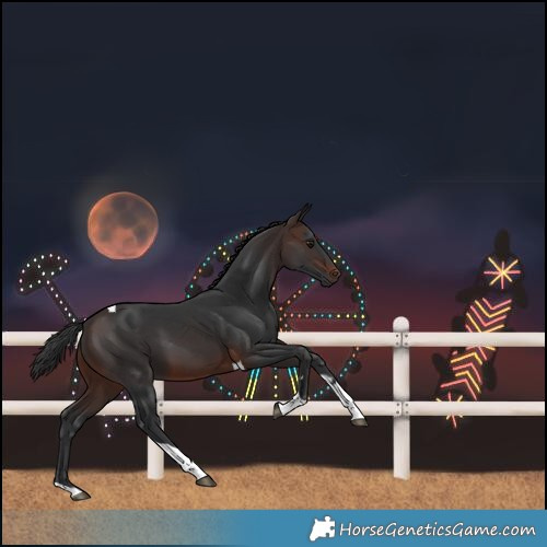 Horse Color:Brown Tobiano Rabicano 