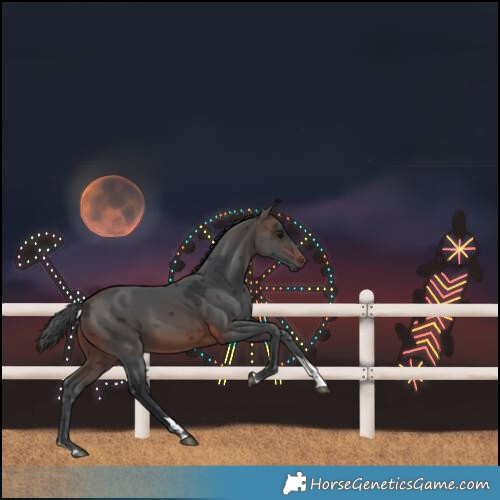 Horse Color:Brown Merle Tobiano 