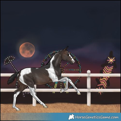 Horse Color:Brown Tobiano