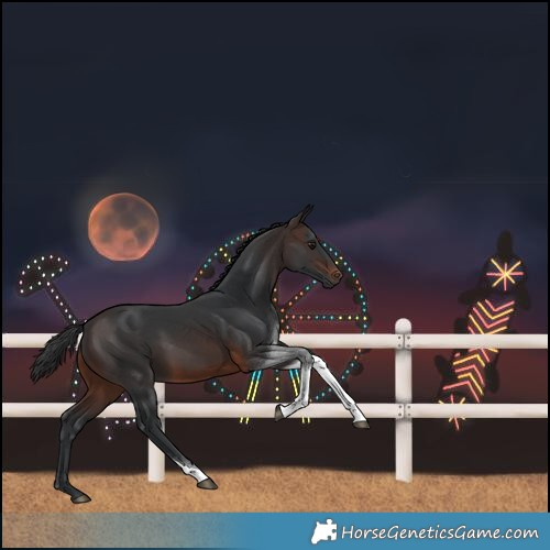 Horse Color:Brown Tobiano