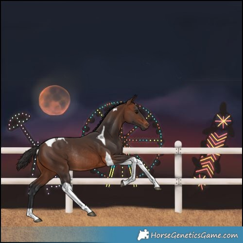 Horse Color:Brown Tobiano Rabicano