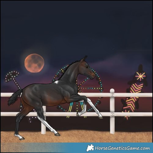 Horse Color:Brown Tobiano Rabicano