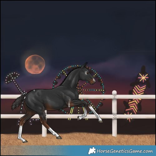 Horse Color:Gray Liver Chestnut Splash Tobiano