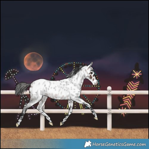 Horse Color:Brown Roan Skewed LP Spotted 