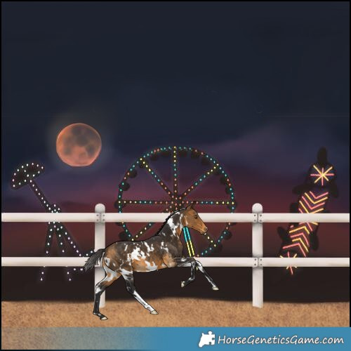 Horse Color:White Spotted Buckskin 