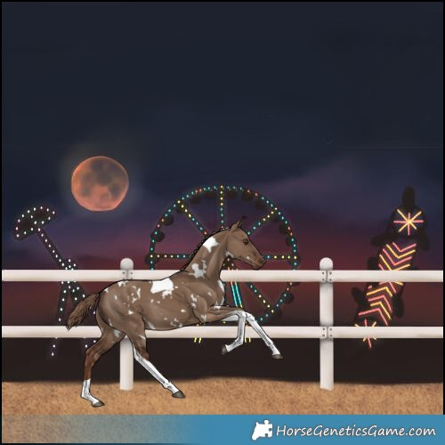Horse Color:White Spotted Liver Red Dun Tobiano 