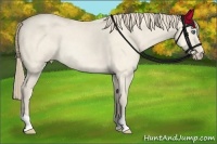 Horse Color:Perlino Dun Rabicano