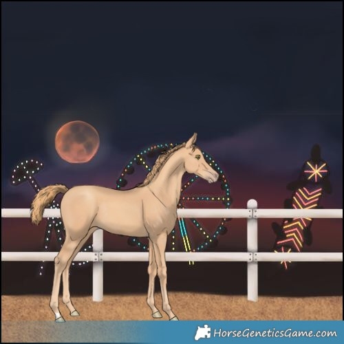 Horse Color:Unknown 