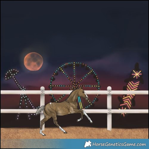 Horse Color:Silver Buckskin Dun Splash Tobiano Rabicano