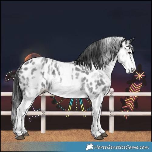 Horse Color:White Spotted Blue Roan Splash Frame Near Leopard 
