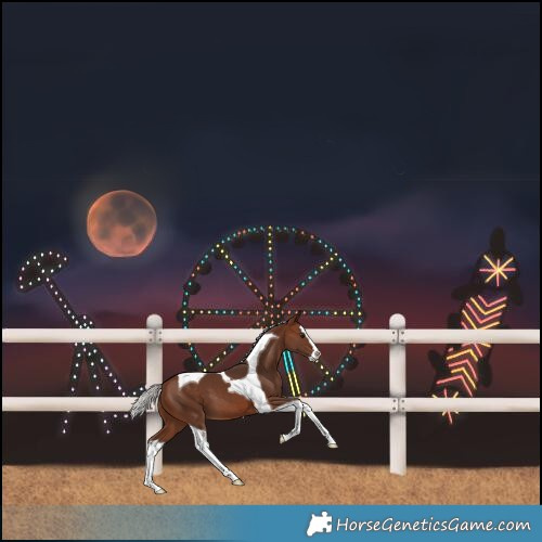 Horse Color:Silver Brown Splash Tobiano 