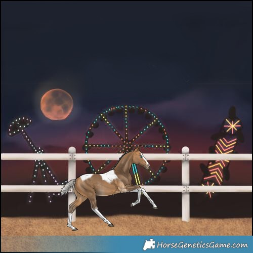 Horse Color:Silver Buckskin Splash Tobiano Rabicano 