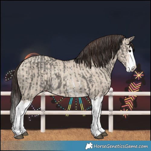 Horse Color:Grullo Sabino Splash  and Classic Champagne Dun Sabino Splash 