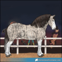 Horse Color:Grullo Sabino Splash  and Classic Champagne Dun Sabino Splash 
