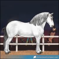 Horse Color:White Spotted Brown Roan Frame 