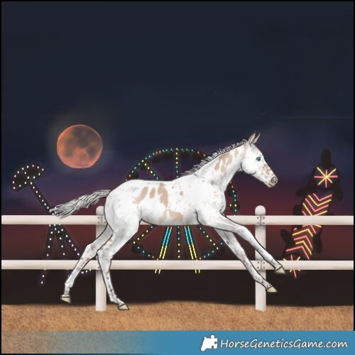 Horse Color:Silver Bay Dun Splash Tobiano Near Leopard 