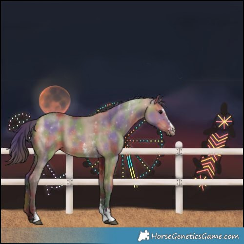 Horse Color:Nacre Bay Dun Sabino 