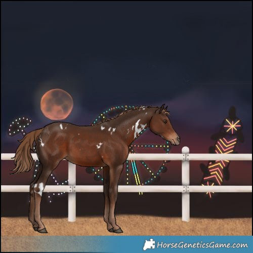 Horse Color:White Spotted Liver Chestnut 