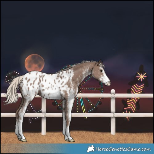 Horse Color:White Spotted Silver Black Blanket