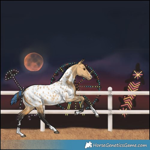 Horse Color:Painted Buckskin Dun Near Leopard 