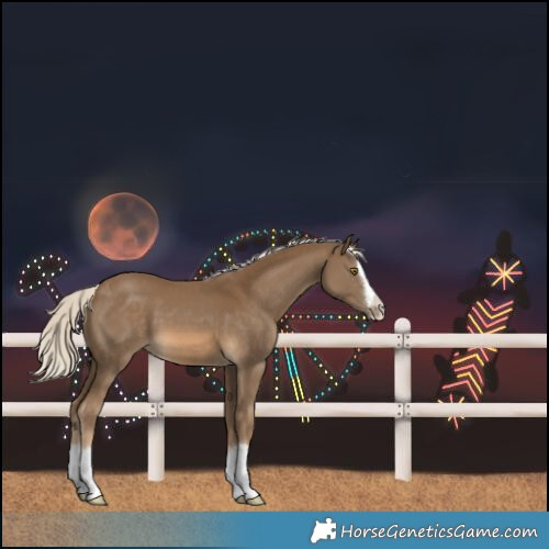 Horse Color:Chocolate Palomino Splash 