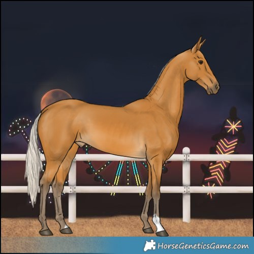 Horse Color:Silver Buckskin 