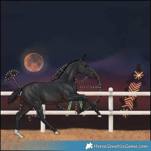 Horse Color:Brown 