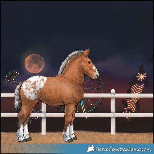 Horse Color:Silver Bay Blanket