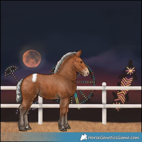 Horse Color:Silver Bay Varnish