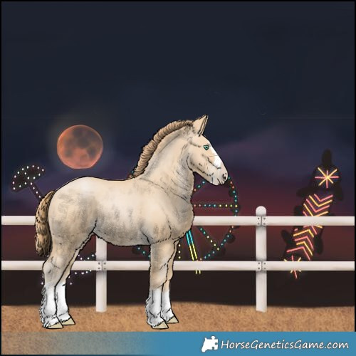 Horse Color:Unknown 