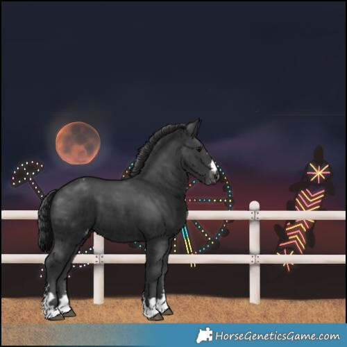 Horse Color:Black Varnish 