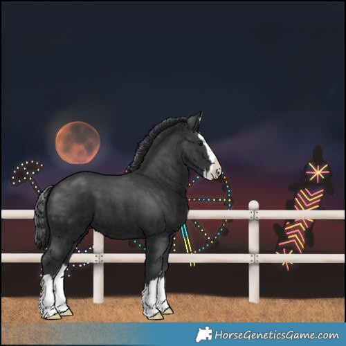 Horse Color:Unknown 