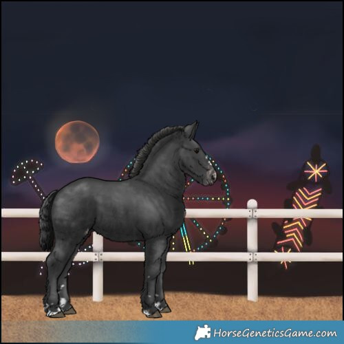 Horse Color:Black Varnish 