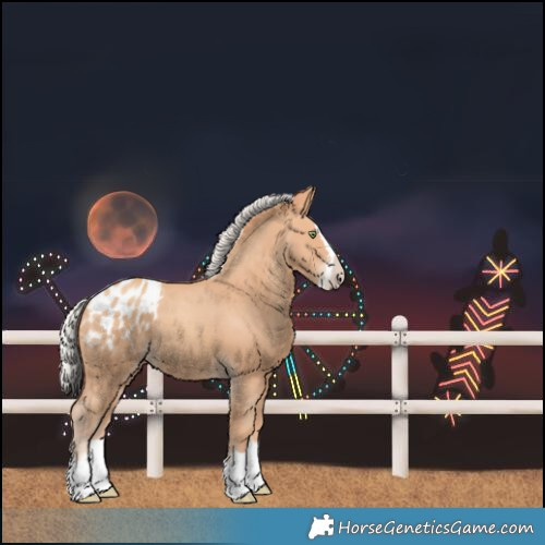 Horse Color:Silver Amber Champagne Splash Blanket 