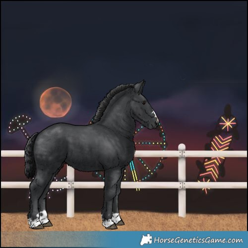 Horse Color:Unknown 