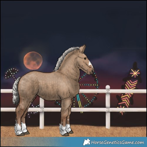 Horse Color:Unknown 