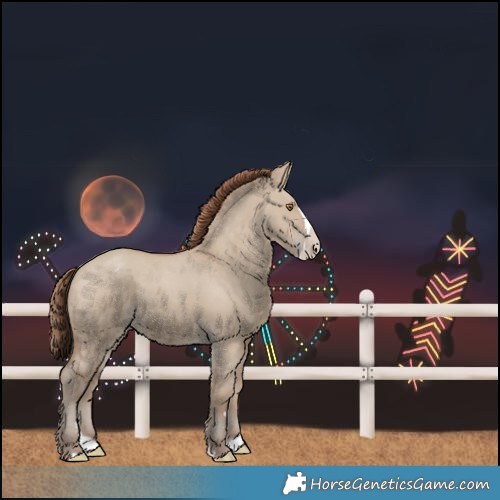 Horse Color:Unknown 